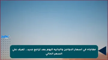 مفاجأة في أسعار الدواجن والبانيه اليوم بعد تراجع جديد.. تعرف على السعر الحالي